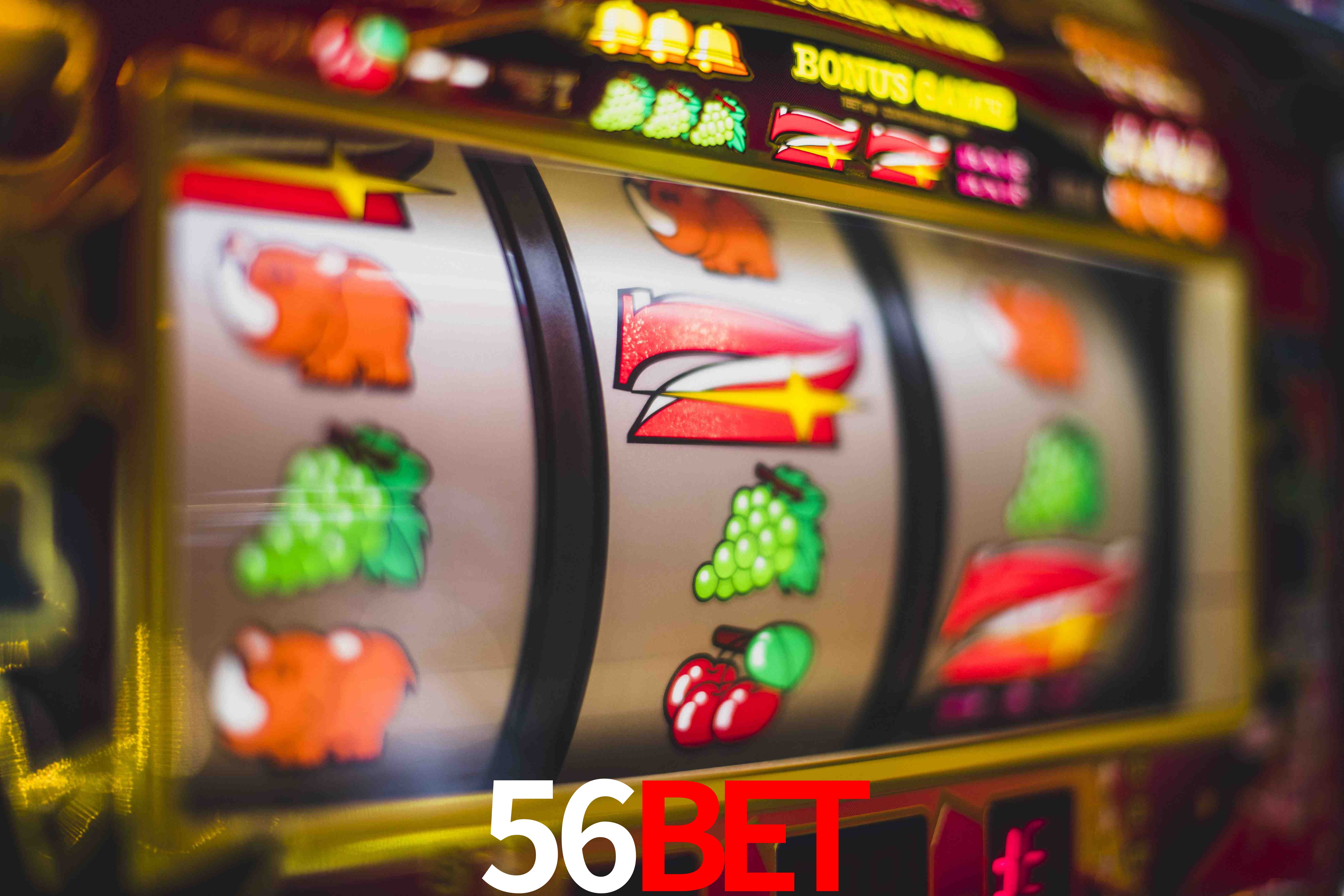 Welcome Bonus 56bet